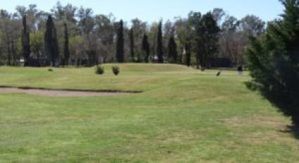 Escudo de Aero Club Las Varillas Golf