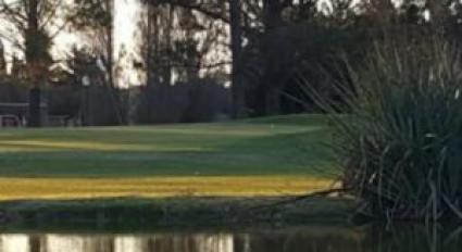 Escudo de Central Argentino Golf