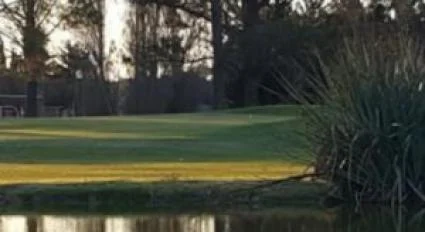 Escudo de Central Argentino Golf